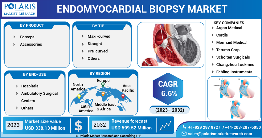 Endomyocardial Biopsy Market Share, Size